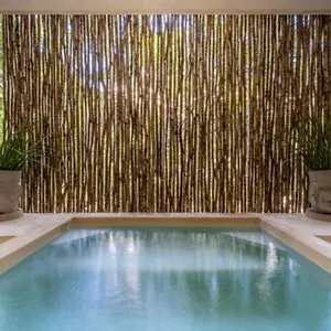Casa Cenote Private Pool Gated Holiday home Tulum